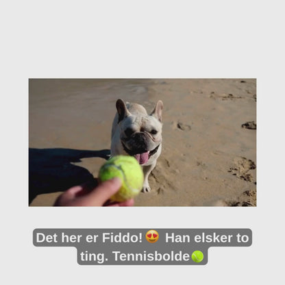 PawPoster – Personligt Kæledyrsportræt i Tegneseriestil